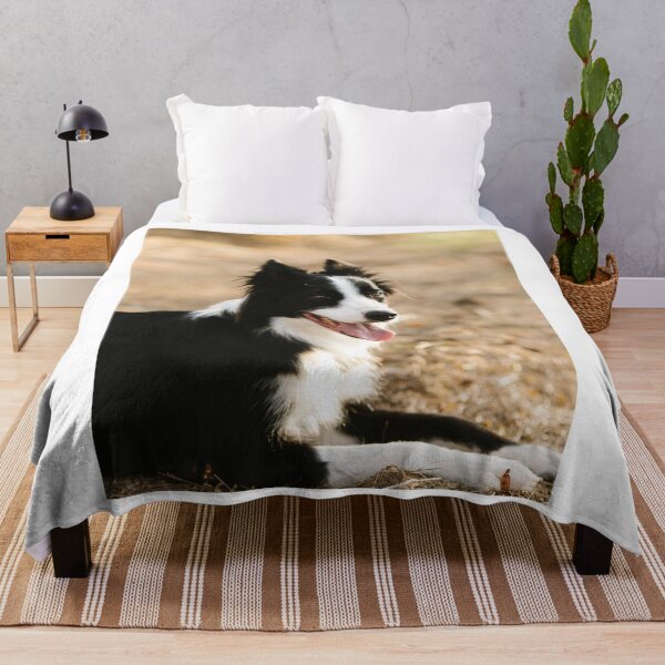 Item preview, Joyful Fluffy Border Collie Lying Down designed and sold by VanGaldo.