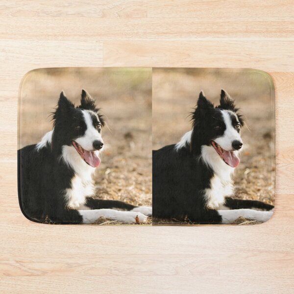 Item preview, Joyful Fluffy Border Collie Lying Down designed and sold by VanGaldo.