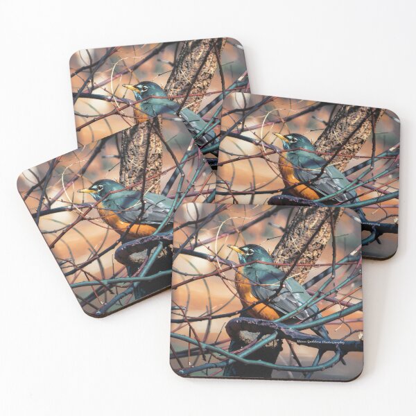 Item preview, Acecho de aves designed and sold by MoonGPhotos.