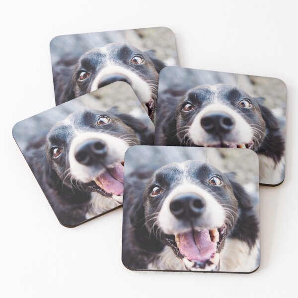 Item preview, Joyful Border Collie Dog Looking Up Happily designed and sold by VanGaldo.