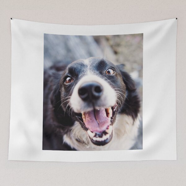 Item preview, Joyful Border Collie Dog Looking Up Happily designed and sold by VanGaldo.