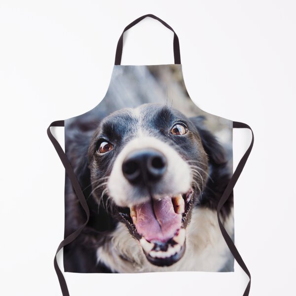 Artikelvorschau, Fröhlicher Border Collie schaut glücklich nach oben entworfen und verkauft von VanGaldo.
