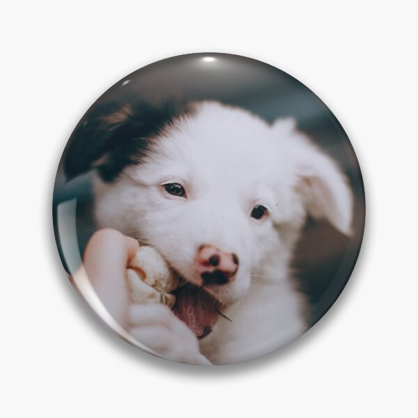 Item preview, Cute Border Collie Puppy Chewing Tug Toy designed and sold by VanGaldo.