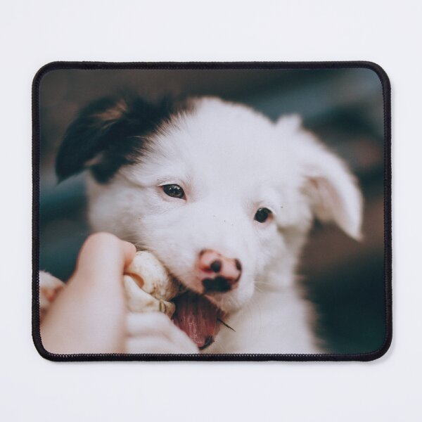 Item preview, Cute Border Collie Puppy Chewing Tug Toy designed and sold by VanGaldo.