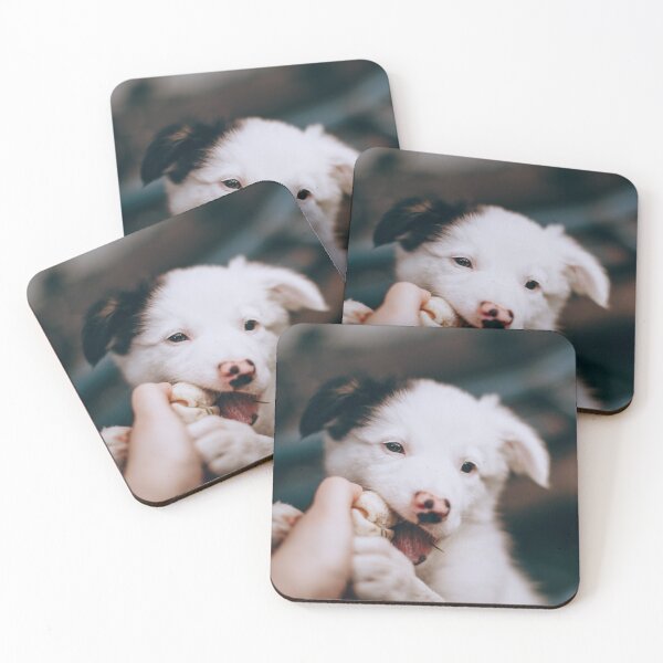 Item preview, Cute Border Collie Puppy Chewing Tug Toy designed and sold by VanGaldo.
