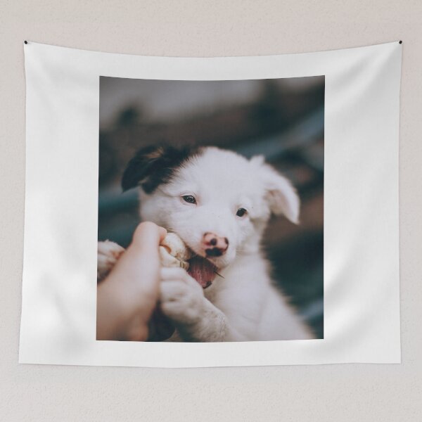 Item preview, Cute Border Collie Puppy Chewing Tug Toy designed and sold by VanGaldo.