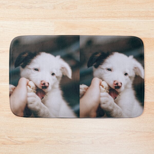 Item preview, Cute Border Collie Puppy Chewing Tug Toy designed and sold by VanGaldo.