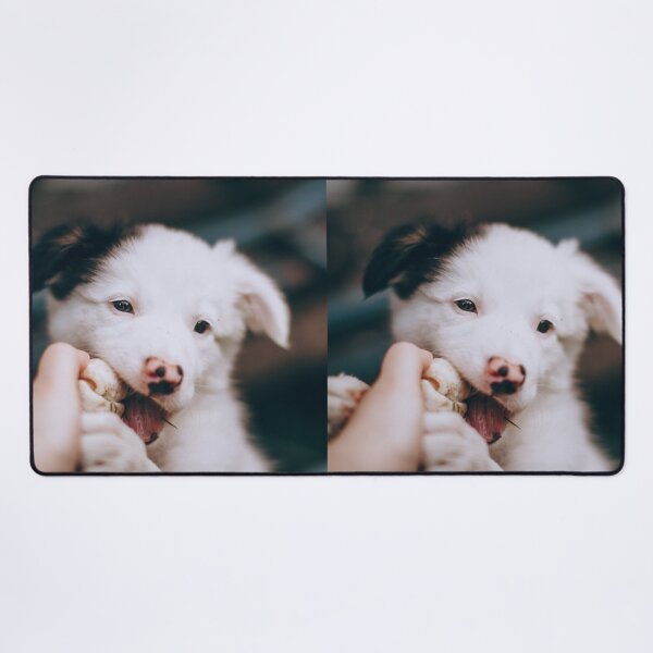Item preview, Cute Border Collie Puppy Chewing Tug Toy designed and sold by VanGaldo.