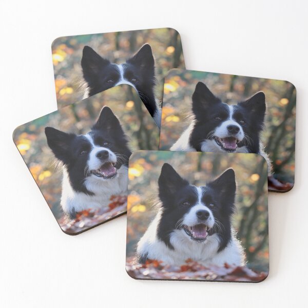 Item preview, Happy Border Collie Lying in Autumn Leaves designed and sold by VanGaldo.