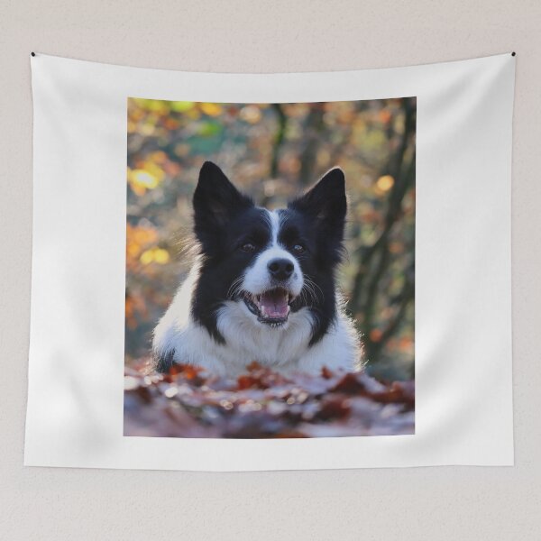 Item preview, Happy Border Collie Lying in Autumn Leaves designed and sold by VanGaldo.