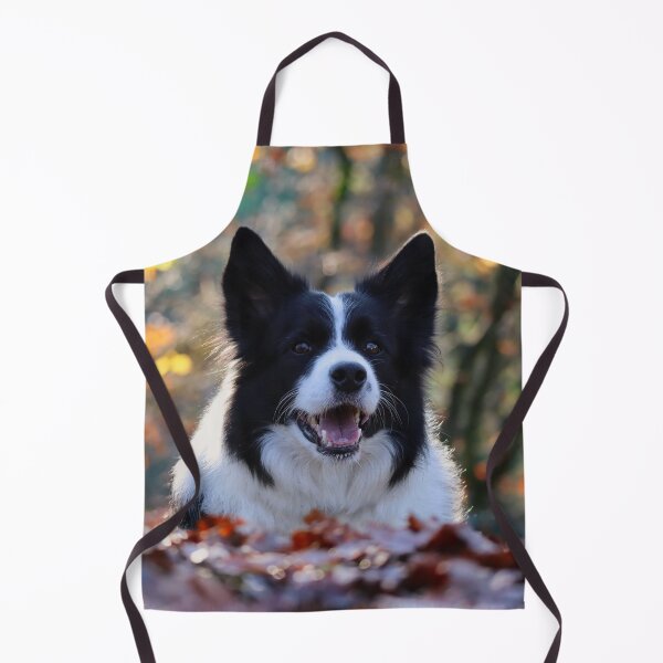 Artikelvorschau, Ein glücklicher Border Collie liegt im Herbstlaub. entworfen und verkauft von VanGaldo.