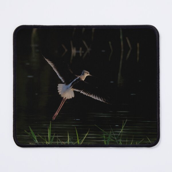Item preview, Early morning Stilt Launch designed and sold by Ralph Goldsmith.