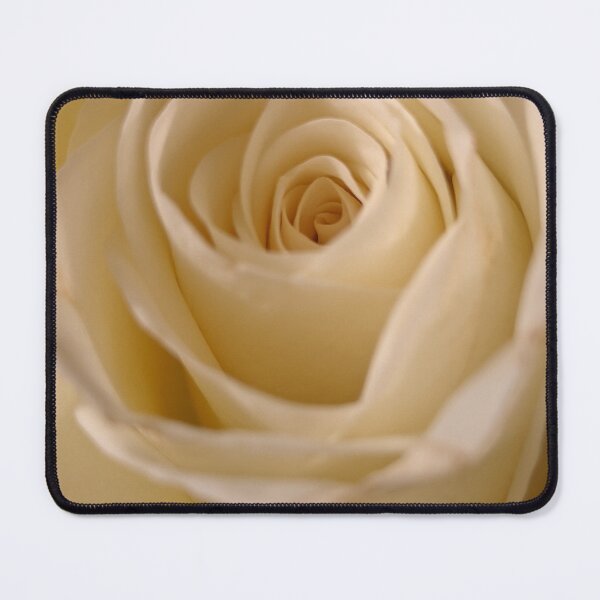Item preview, Ivory Rose Soft Focus, Macro Botanical Photography designed and sold by PrettyAround.