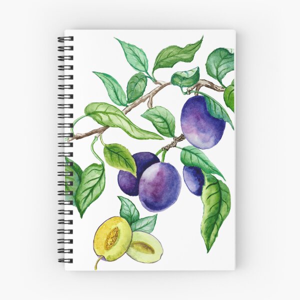 Item preview, Brunch of Plums, watercolor botanical fruit illustration designed and sold by MartaHorodniczy.