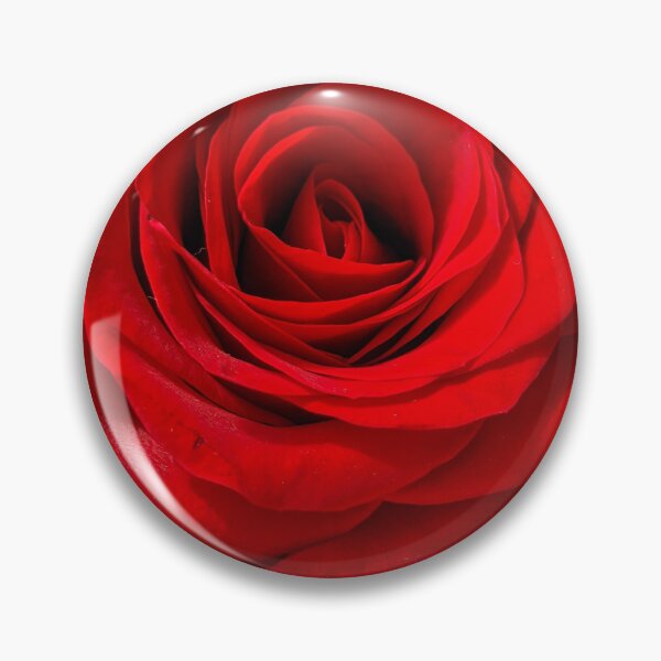 Item preview, Red Rose Full Bloom, Macro Botanical Photography designed and sold by PrettyAround.