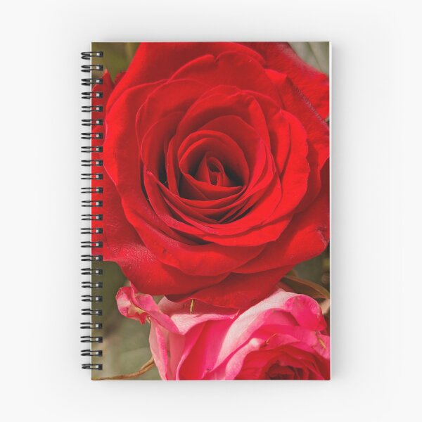 Item preview, Red Rose Full Bloom, Macro Botanical Photography designed and sold by PrettyAround.