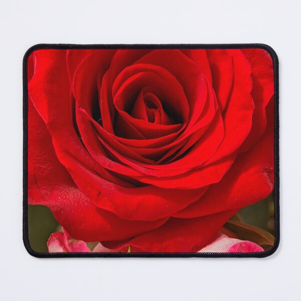 Item preview, Red Rose Full Bloom, Macro Botanical Photography designed and sold by PrettyAround.