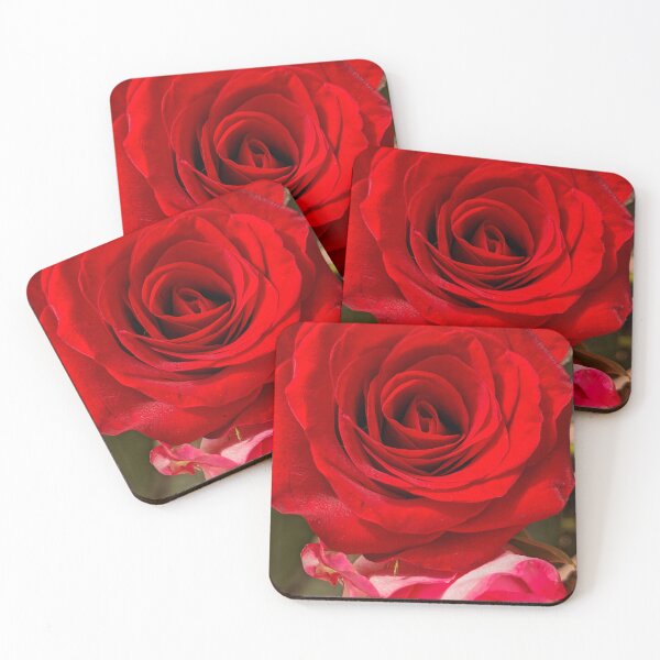 Item preview, Red Rose Full Bloom, Macro Botanical Photography designed and sold by PrettyAround.