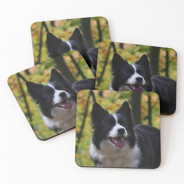 Item preview, Cheerful Fluffy Border Collie Sticking Tongue Out designed and sold by VanGaldo.