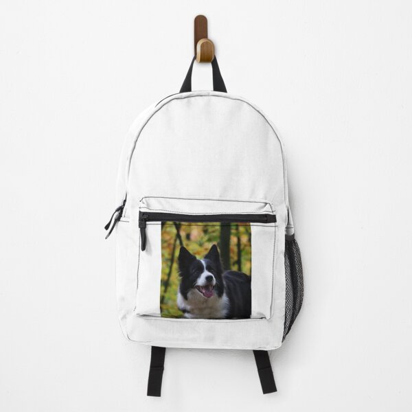 Item preview, Cheerful Fluffy Border Collie Sticking Tongue Out designed and sold by VanGaldo.