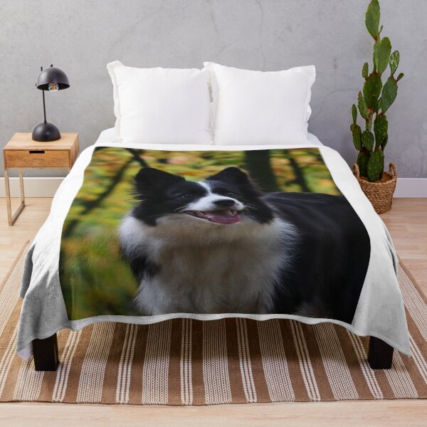 Item preview, Cheerful Fluffy Border Collie Sticking Tongue Out designed and sold by VanGaldo.