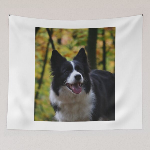 Item preview, Cheerful Fluffy Border Collie Sticking Tongue Out designed and sold by VanGaldo.