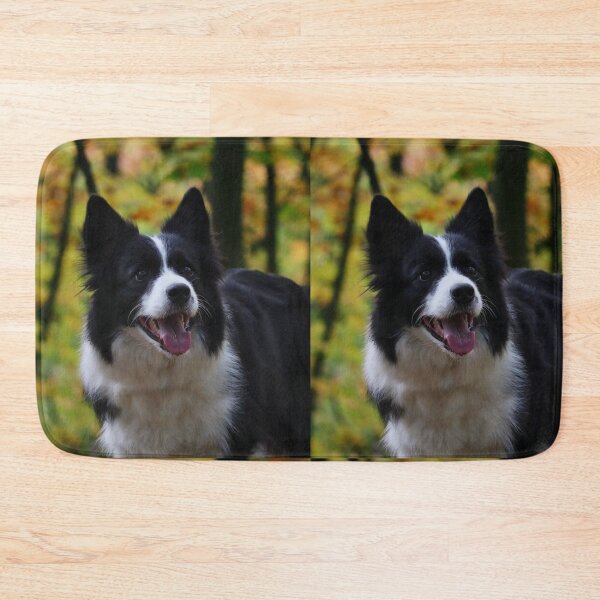 Item preview, Cheerful Fluffy Border Collie Sticking Tongue Out designed and sold by VanGaldo.