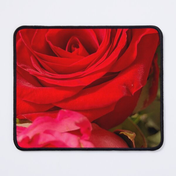 Item preview, Red Roses Layered Blooms, Botanical Macro Photography designed and sold by PrettyAround.