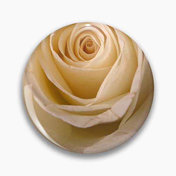 Item preview, Cream Rose Warm Light, Macro Botanical Photography designed and sold by PrettyAround.