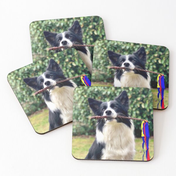 Item preview, Smart Border Collie Holding Colorful Ribbon Stick designed and sold by VanGaldo.