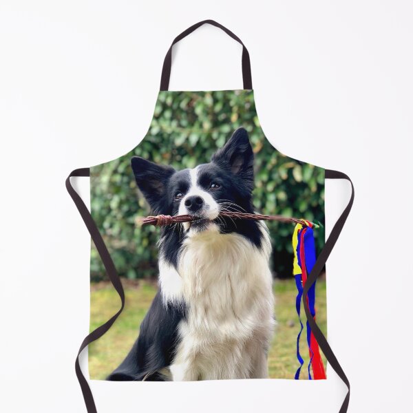 Artikelvorschau, Intelligenter Border Collie hält einen bunten Schleifenstab entworfen und verkauft von VanGaldo.