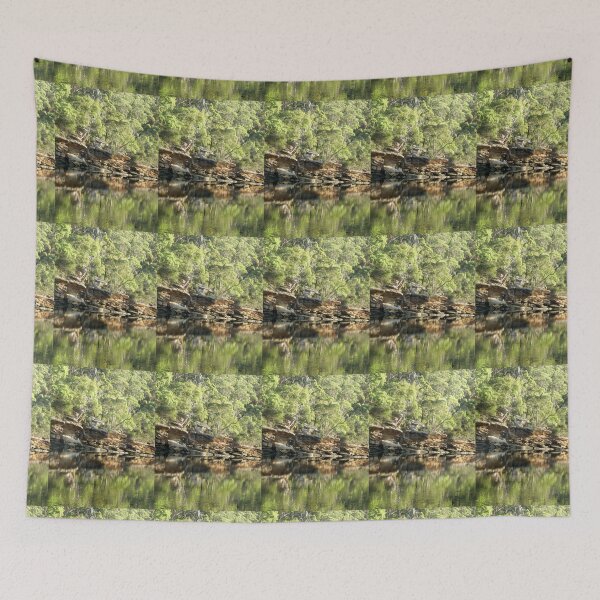 Item preview, Trees, Rocks and Water, Royal National Park, Sydney, NSW, Australia. designed and sold by kaysharp.