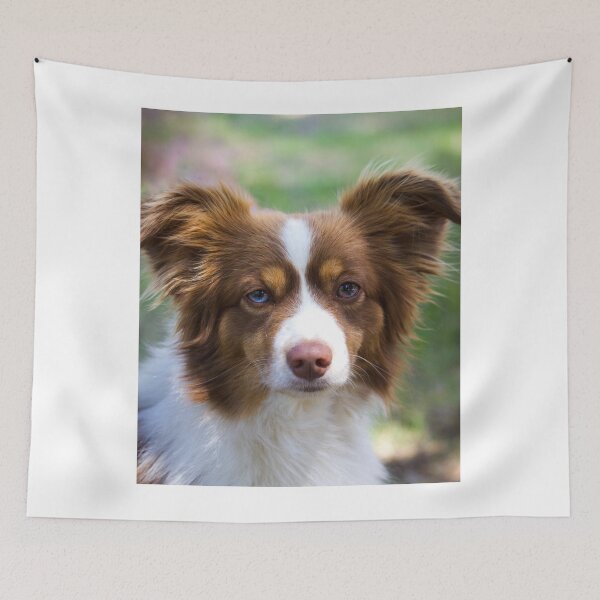 Item preview, Beautiful Border Collie with Unique Heterochromia designed and sold by VanGaldo.