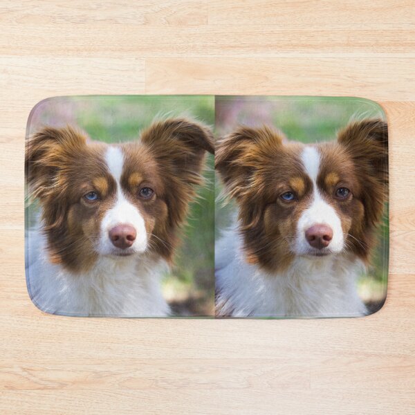 Item preview, Beautiful Border Collie with Unique Heterochromia designed and sold by VanGaldo.