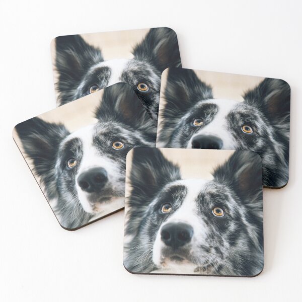 Item preview, Stunning Blue Merle Border Collie Looking Up designed and sold by VanGaldo.