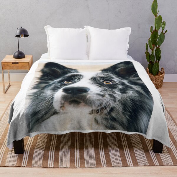 Item preview, Stunning Blue Merle Border Collie Looking Up designed and sold by VanGaldo.