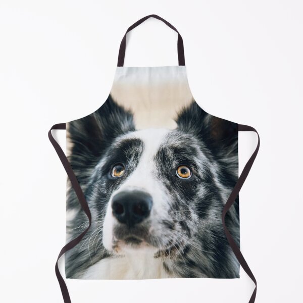 Artikelvorschau, Atemberaubender Blue Merle Border Collie schaut nach oben entworfen und verkauft von VanGaldo.