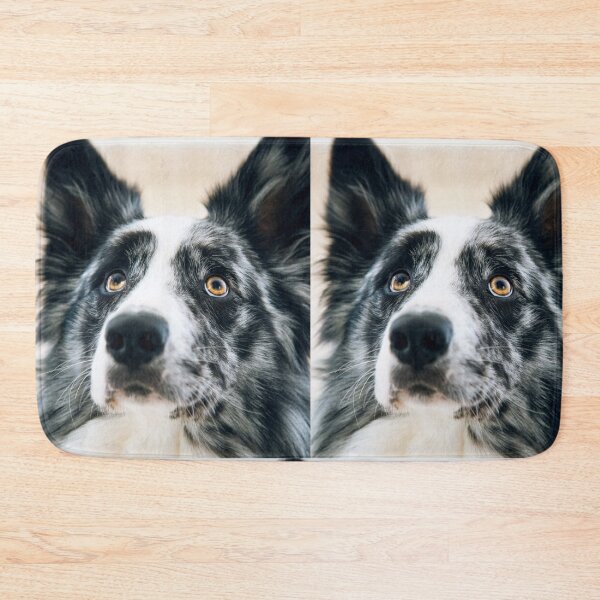 Item preview, Stunning Blue Merle Border Collie Looking Up designed and sold by VanGaldo.
