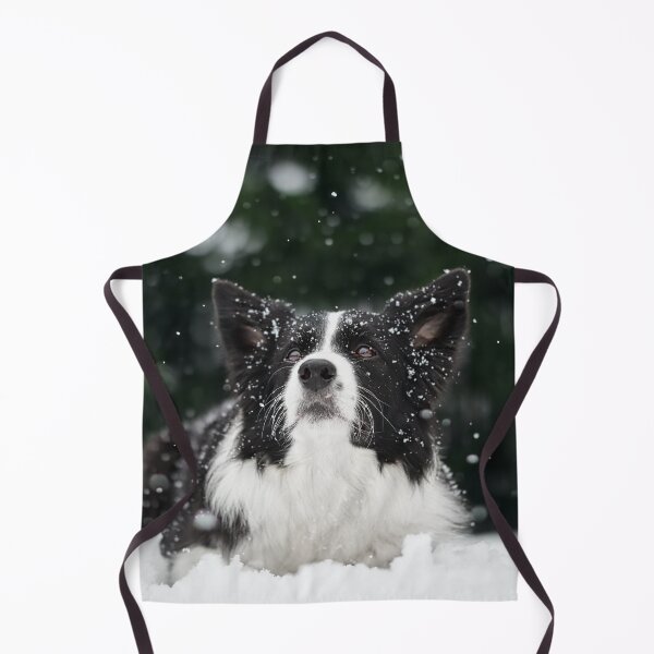 Artikelvorschau, Ein wunderschöner Border Collie liegt im Winterschnee entworfen und verkauft von VanGaldo.