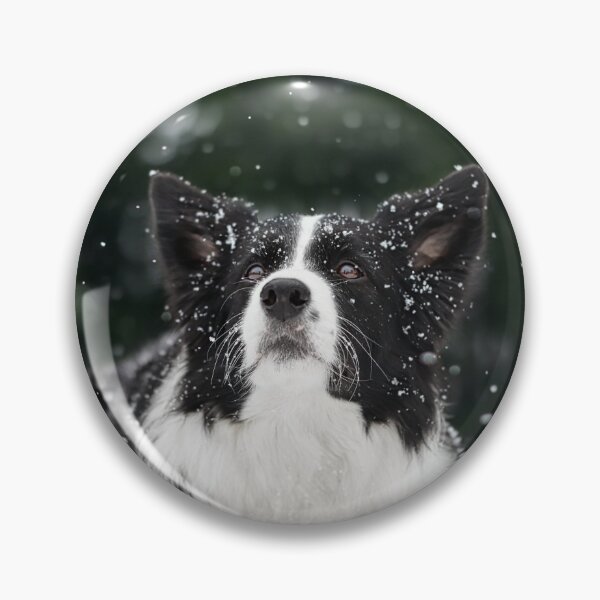 Item preview, Beautiful Border Collie Lying in Winter Snow designed and sold by VanGaldo.