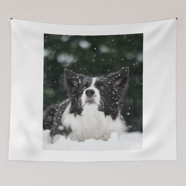 Item preview, Beautiful Border Collie Lying in Winter Snow designed and sold by VanGaldo.