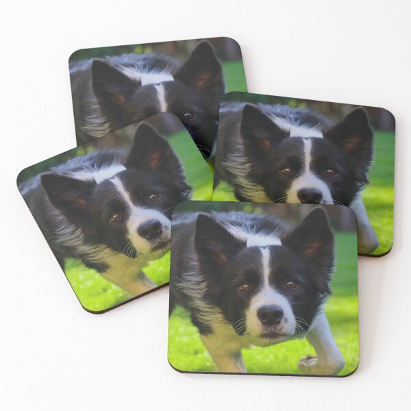 Item preview, Energetic Border Collie Running on Green Grass designed and sold by VanGaldo.