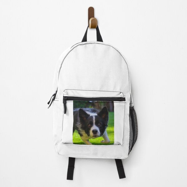 Item preview, Energetic Border Collie Running on Green Grass designed and sold by VanGaldo.