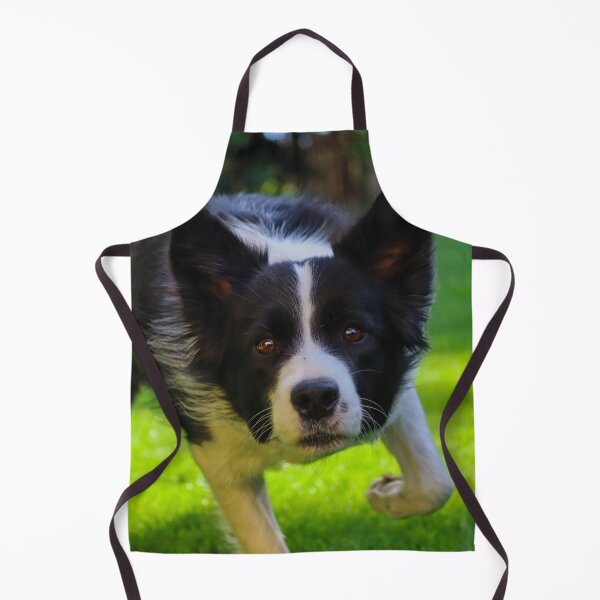 Artikelvorschau, Ein energiegeladener Border Collie rennt über grünes Gras entworfen und verkauft von VanGaldo.