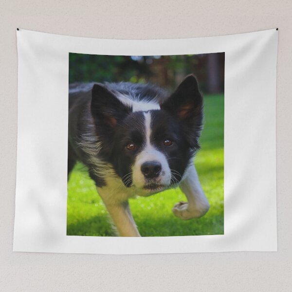 Item preview, Energetic Border Collie Running on Green Grass designed and sold by VanGaldo.