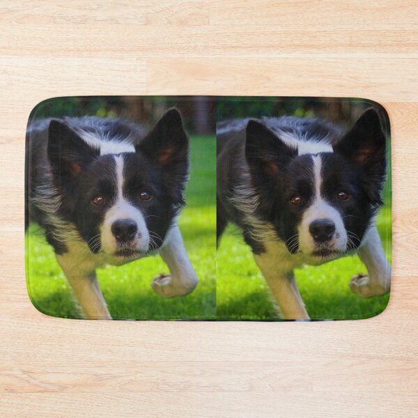 Item preview, Energetic Border Collie Running on Green Grass designed and sold by VanGaldo.