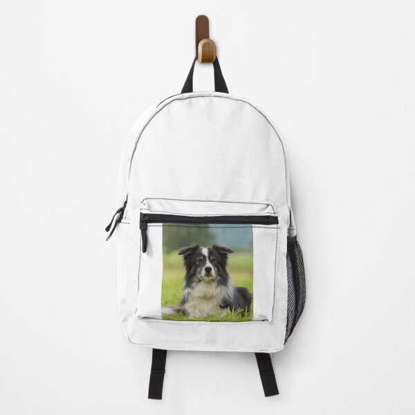 Item preview, Serene Fluffy Border Collie Looking at Camera designed and sold by VanGaldo.