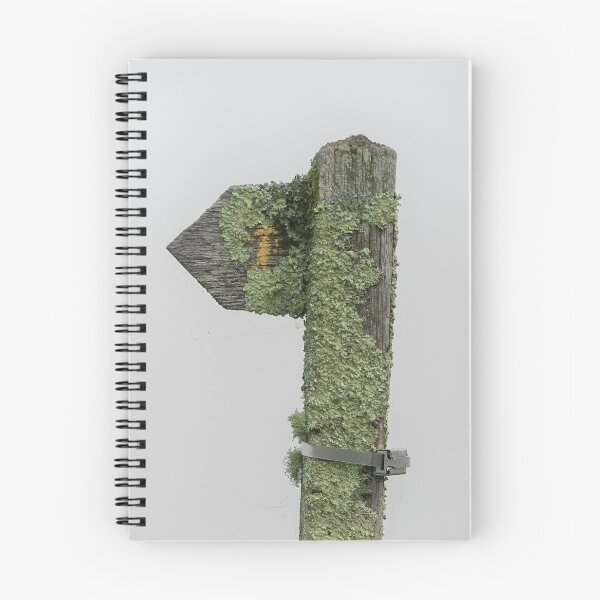 Item preview, Moss covered post designed and sold by Leighton Collins.