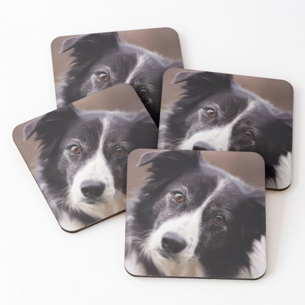 Item preview, Curious Border Collie Dog Head Tilt Portrait designed and sold by VanGaldo.