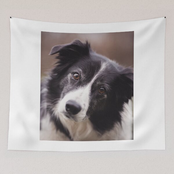 Item preview, Curious Border Collie Dog Head Tilt Portrait designed and sold by VanGaldo.